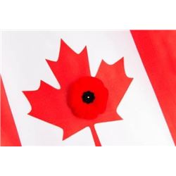 MOMENT OF SILENCE 11AM