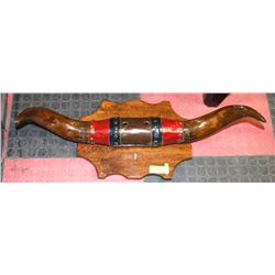 MOUNTED BULL HORNS