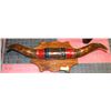 Image 1 : MOUNTED BULL HORNS