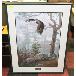 FRAMED BALD EAGLE PRINT BY ARTIST DANIEL SMITH
