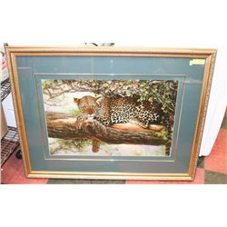 LEOPARD LOUNGING  PICTURE  43"X34"