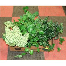 LOT OF 3 SILK PLANTS