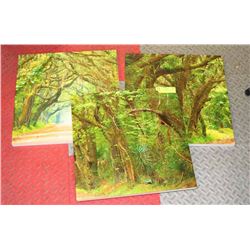 SET OF 3 FOREST PRINTS, 16 X 16 EACH