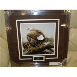 VANTAGE POINT BY ROBERT BATEMAN