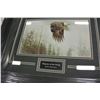Image 2 : MAJESTY OF THE WINGS BY ROBERT BATEMAN 24855