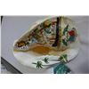 Image 2 : PAINTED CONCH SHELL AND EGG