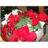 Image 2 : 2 BOXES OF CHRISTMAS DECORATIONS