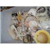 Image 2 : TOTE OF SHELLS