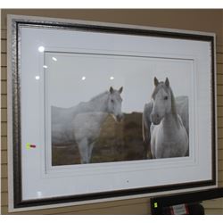 FRAMED HORSE PHOTO FLOOR DISPLAY