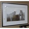Image 1 : FRAMED HORSE PHOTO FLOOR DISPLAY