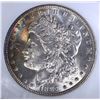 Image 2 : 1887 MORGAN DOLLAR BINION COLLECTION