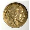 Image 2 : 1916-D BUFFALO NICKEL, EMGC AU