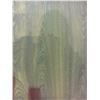 Image 2 : SWISS AURORA COLLECTION, VICTORIA  12MM GLUELESS LAMINATE FLOORING