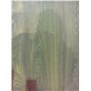 Image 2 : SWISS AURORA COLLECTION, VICTORIA  12MM GLUELESS LAMINATE FLOORING