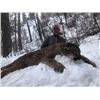 Image 1 : IDAHO MOUNTAIN LION HUNT