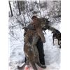 Image 2 : IDAHO MOUNTAIN LION HUNT