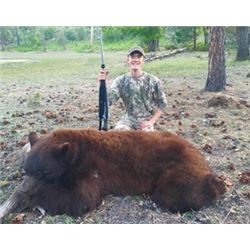 Arizona Black Bear Hunt in the White Mountains