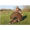 Image 1 : Missouri Turkey Hunt