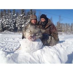Ontario Canada Winter Wolf Hunt