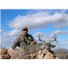 Image 1 : Arizona Coues Whitetail Deer Hunt