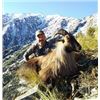 Image 1 : New Zealand Bull Tahr Hunt