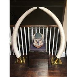 Set of 50lbs Elephant Tusks