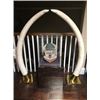 Image 1 : Set of 50lbs Elephant Tusks
