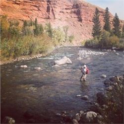 Wyoming Secluded Getaway and Fish for Golden Trout with a new Wiked Fly Rod (x 2 donation)
