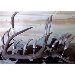 Barto Antler Knives Steak Knife Set