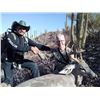 Image 1 : Sonora Mule Deer Hunt