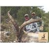 Image 1 : 4 DAY MOUNTAIN HUNT FOR 2 HUNTERS & 2 OBSERVERS IN SPAIN