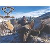 Image 1 : 8 DAY ALBERTA HORSEBACK ARCHERY MOOSE HUNT