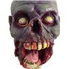 Image 2 : Hell Fest Screen Used Zombie Head Movie Props