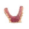 Image 1 : Underworld Michael (Scott Speedman) Teeth Molds Movie Props