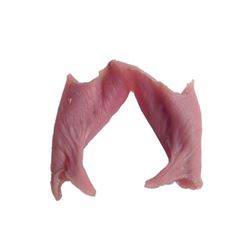 Underworld: Blood Wars Lycan Gum Movie Props