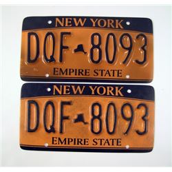 Paranoia Meechum (Julian McMahon) Hero Movie Props