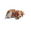 Image 1 : Father Figures Sleeping Puppy Movie Props