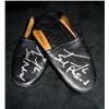 Image 2 : Amerian Idol's Taylor Hicks Signed Shoes