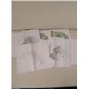 Image 1 : Beanstalk Design Artwork