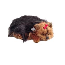 Father Figures Sleeping Puppy Movie Props