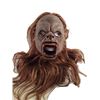 Image 1 : Hell Fest Screen Used Werewolf SFX Mask Movie Props