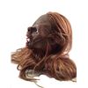 Image 3 : Hell Fest Screen Used Werewolf SFX Mask Movie Props