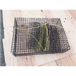 3 Crab Tracks 1 large 2 small