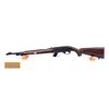 Image 2 : Remington Nylon 10C Rifle