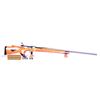 Image 1 : Custom Target Rifle