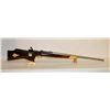 Image 1 : Custom Target Rifle