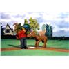 Image 10 : Goliath (Hal Smith) Stop-Motion Dog Puppet - DAVEY & GOLIATH (1960 - 2004)