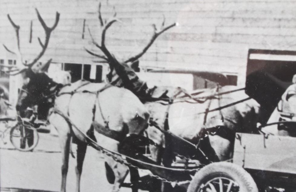1941 White Sulphur Springs Montana Photograph