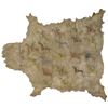 Image 1 : Northern Cheyenne Pictorial Painted Buffalo Robe