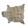 Image 2 : Northern Cheyenne Pictorial Painted Buffalo Robe